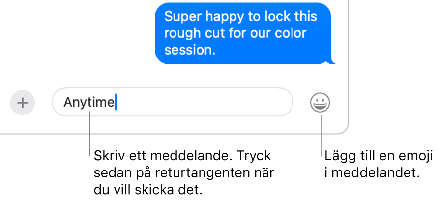 En transkribering i Meddelanden-fönstret med meddelandefältet synligt längst ned i fönstret.