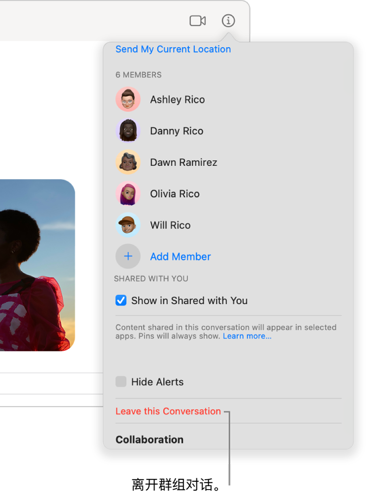 “信息”视图，在你点按对话中的“信息”按钮后显示。“离开此对话”位于对话框底部附近。