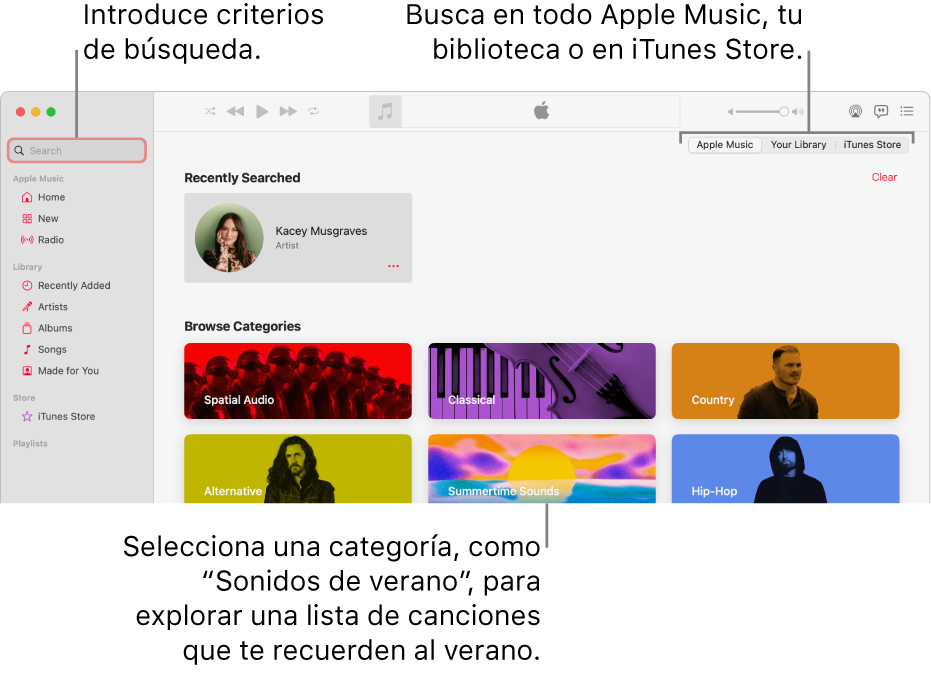 La ventana de Apple Music que muestra el campo de búsqueda en la esquina superior izquierda, la lista de categorías en el centro de la ventana y Apple Music, “Tu biblioteca” y iTunes Store en la esquina superior derecha. Introduce los criterios de búsqueda en el cuadro de búsqueda y, a continuación, selecciona para buscar en todo Apple Music, solamente en la biblioteca o en iTunes Store.