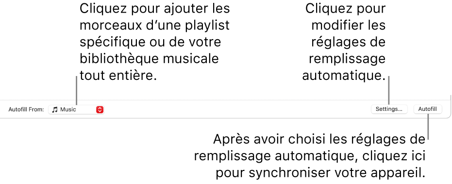 Les options de remplissage automatique sont situées en bas de la fenêtre Musique. À l’extrémité gauche se trouve le menu local Remplir depuis, qui vous permet de choisir d’ajouter des morceaux à partir d’une playlist ou de l’ensemble de votre bibliothèque. À l’extrémité droite se trouvent deux boutons : Réglages, pour modifier les différentes options du remplissage automatique, et Remplissage autom. Lorsque vous cliquez sur Remplissage autom., votre appareil est rempli avec les morceaux qui correspondent aux critères.