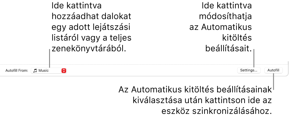 A Music ablak alján található Automatikus kitöltés beállításai. Bal oldalon található az Automatikus kitöltés innen, ahol megadhatja, hogy egy lejátszási listából vagy a teljes könyvtárából szeretne dalokat hozzáadni. A jobb szélén két gomb található: a Beállítások, mellyel az Automatikus kitöltés különféle lehetőségei módosíthatók, és az Automatikus kitöltés. Az Automatikus kitöltés lehetőségre kattintva az eszköz a feltételeknek megfelelő zeneszámokkal telik meg.