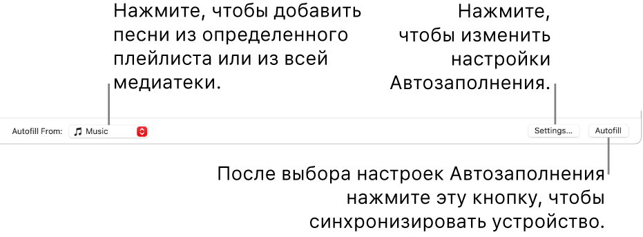 Параметры автозаполнения в нижней части окна «Музыка». У края левой стороны, во всплывающем меню «Из папки», можно выбрать, добавлять ли песни из плейлиста или из всей медиатеки. У края правой стороны расположены две кнопки — кнопка «Настройки» для изменения параметров автозаполнения и кнопка «Автозаполнение». При нажатии кнопки «Автозаполнение» устройство автоматически заполнится песнями, которые соответствуют параметрам.