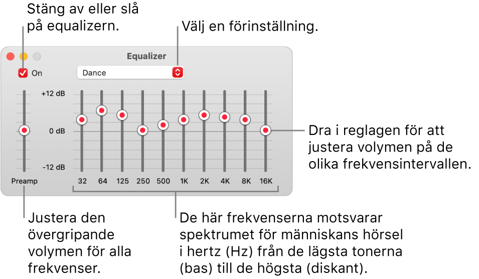 Equalizer-fönstret: I övre vänstra hörnet finns kryssrutan för att slå på Musik-equalizern. Bredvid den finns popupmenyn med förinställningarna för equalizern. Längst till vänster kan den allmänna volymen för alla frekvenser justeras med förförstärkaren. Under förinställningarna för equalizern går det att justera volymen för olika frekvensintervall som representerar spektrumet för människans hörsel från lägsta till högsta.