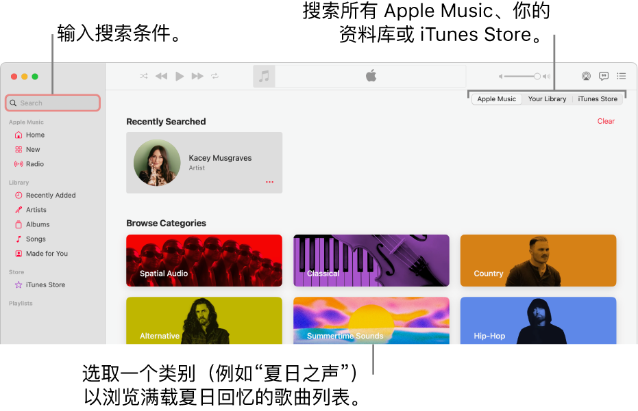 Apple Music 窗口的左上角显示搜索栏，窗口中间是类别列表，右上角显示“Apple Music”、“你的资料库”和可用的 iTunes Store。在搜索栏中输入搜索条件，然后选取是搜索所有 Apple Music、仅搜索你的资料库还是搜索 iTunes Store。