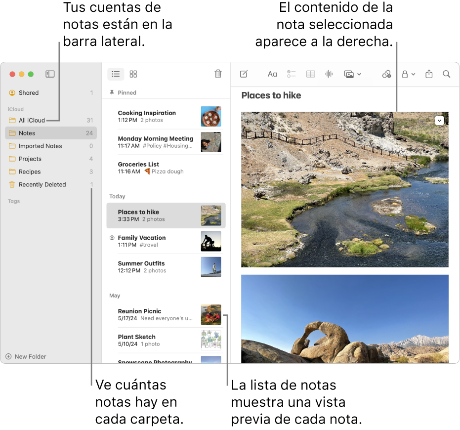 Una ventana de la app Notas en una Mac con todas tus cuentas y carpetas configuradas en la lista de la barra lateral a la izquierda, la lista de notas en medio mostrando una vista previa de cada nota, y el contenido de la nota seleccionada en la derecha. El número de notas se indica junto a cada carpeta.