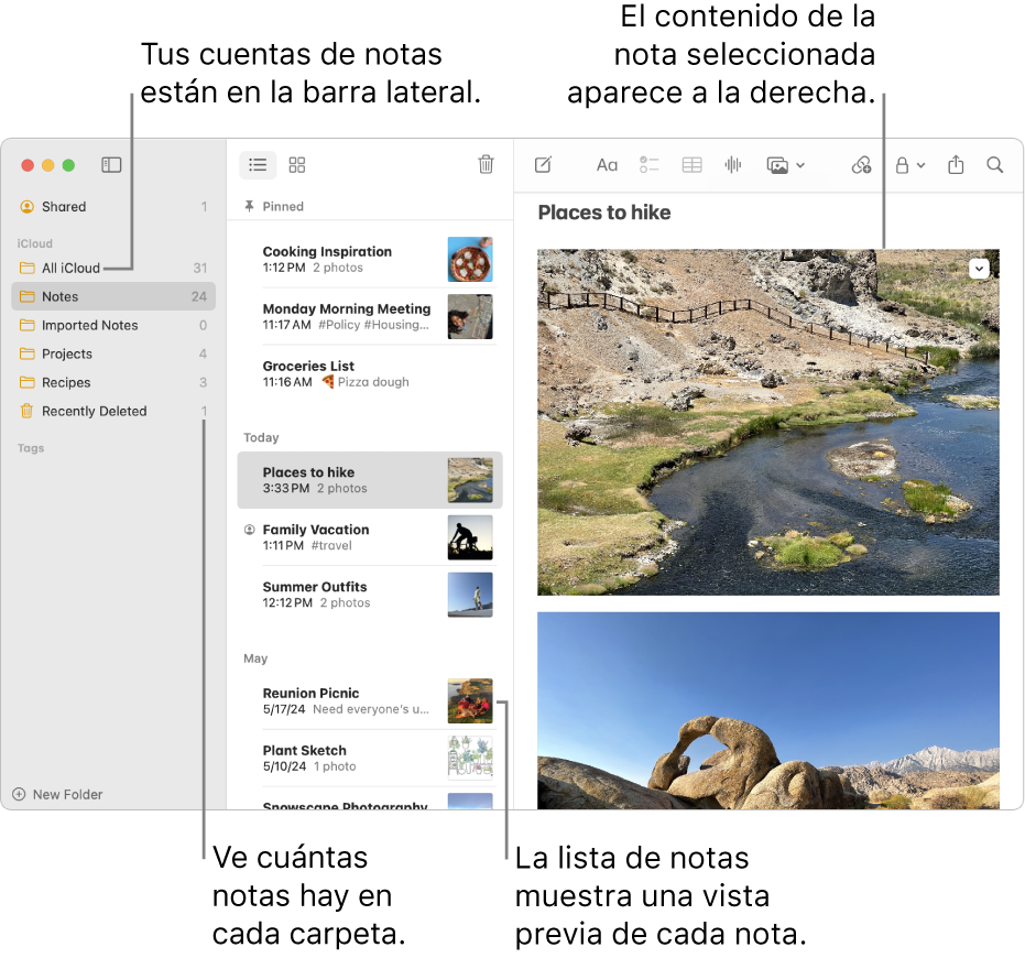 Ventana de la app Notas del Mac con una lista de todas tus cuentas y carpetas configuradas en la barra lateral a la izquierda, la lista de notas en el centro con una previsualización de cada nota y el contenido de la nota seleccionada a la derecha. El número de notas se muestra al lado de cada carpeta.