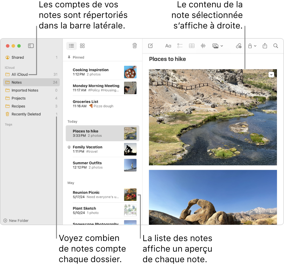 Fenêtre de l’app Notes sur un Mac avec tous vos comptes configurés et dossiers répertoriés dans la barre latérale à gauche, la liste des notes au milieu avec un aperçu de chaque note et le contenu de la note sélectionnée à droite. Le nombre de notes s’affiche à côté de chaque dossier.