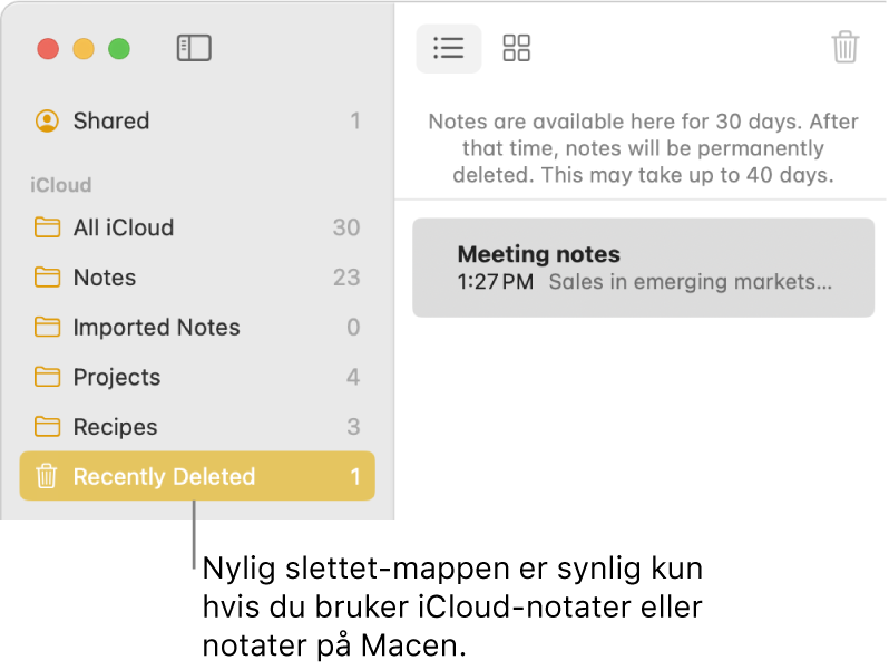 Notater-vinduet med Nylig slettet-mappen i sidepanelet og et nylig slettet notat. Nylig slettet-mappen er bare synlig hvis du bruker iCloud-notater eller notater på Macen.