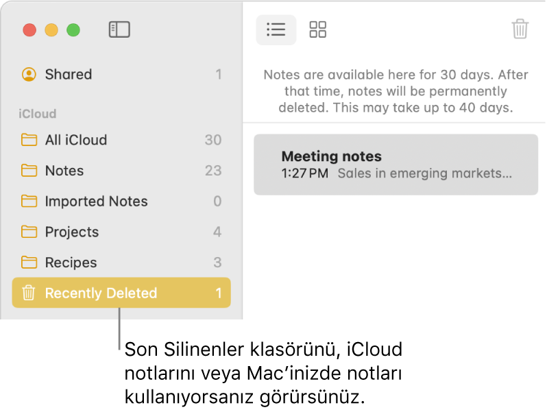 Kenar çubuğunda Son Silinenler klasörünün ve yakın bir zamanda silinmiş bir notun olduğu Notlar penceresi. Son Silinenler klasörünü, iCloud notlarını veya Mac’inizde notları kullanıyorsanız görürsünüz.