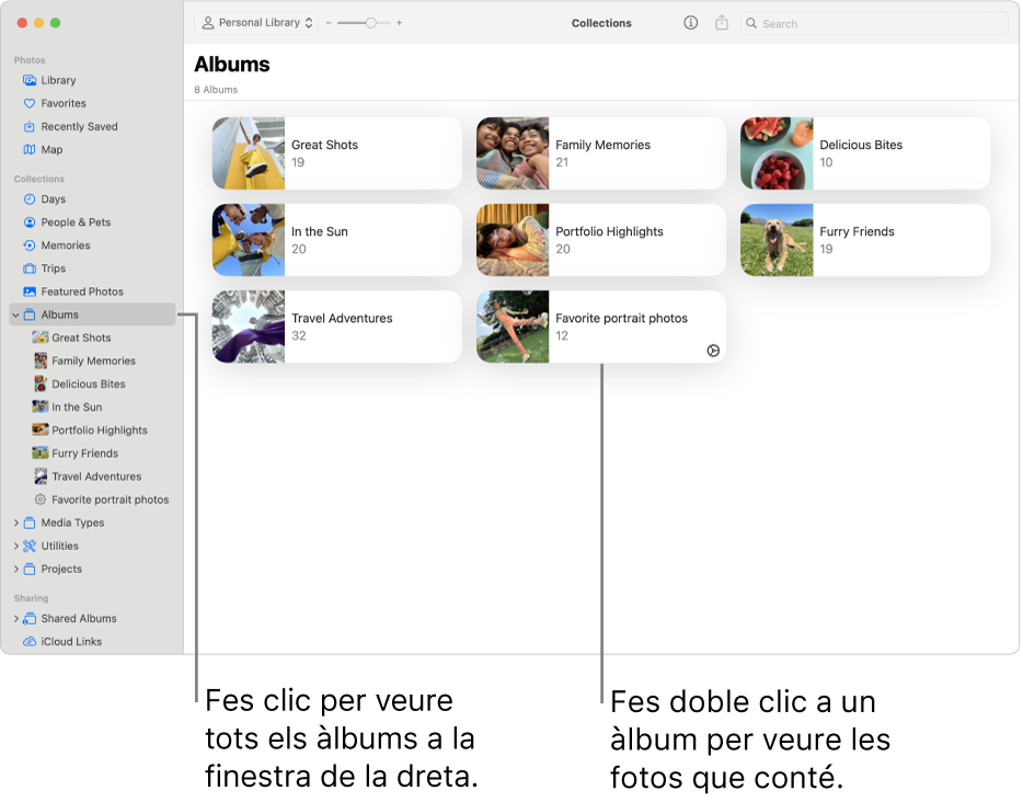 La finestra de l’app Fotos amb l’opció “Àlbums” seleccionada a la barra lateral i els àlbums que es mostren a la dreta.