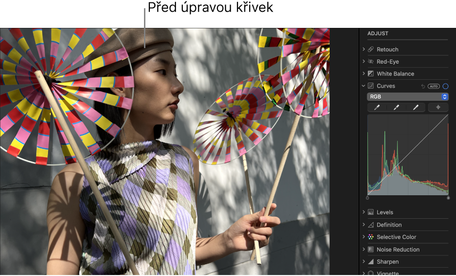 Fotografie před úpravou křivek