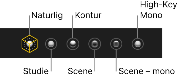 Lyseffekter til portrætfunktion, herunder (fra venstre til højre) Naturlig, Studie, Kontur, Scene, Scene – mono og High-Key Mono.