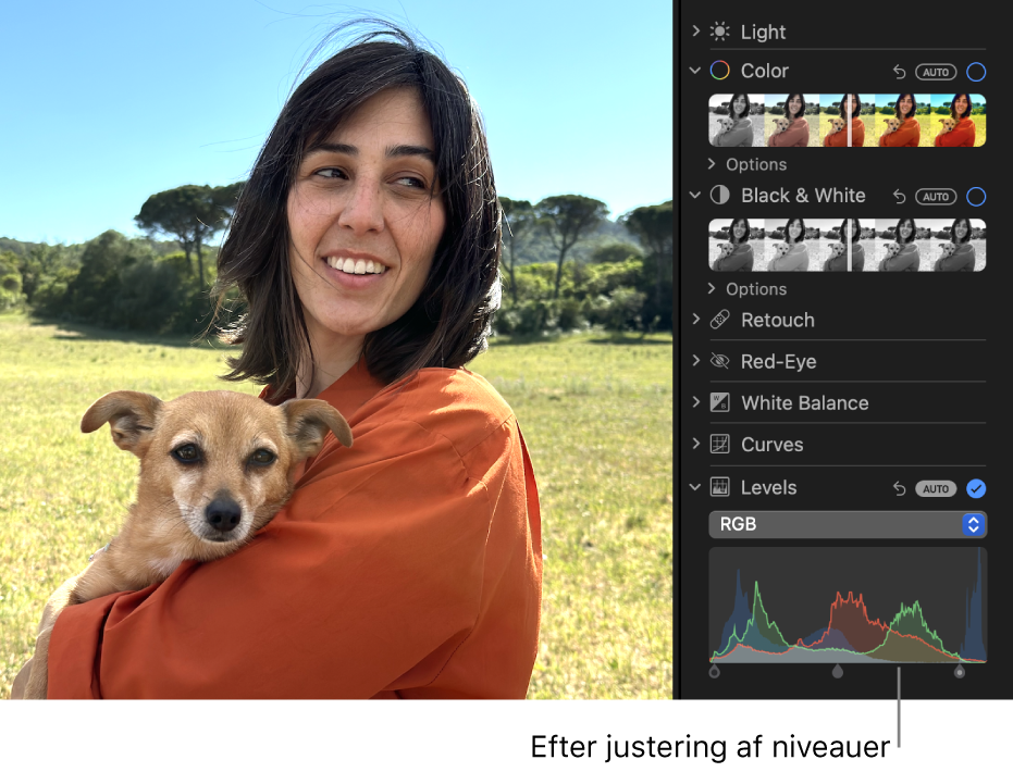 Et foto efter justeringer af niveauer.