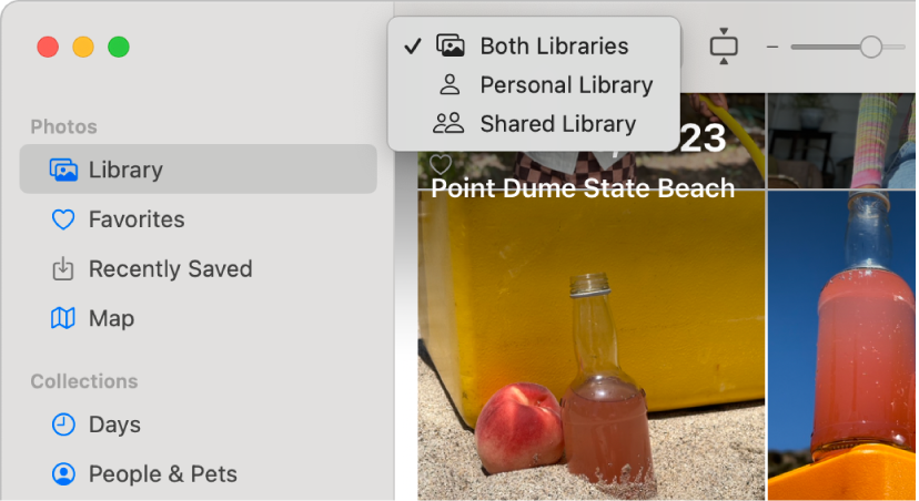 The Library pop-up menu in the toolbar set to Both Libraries.