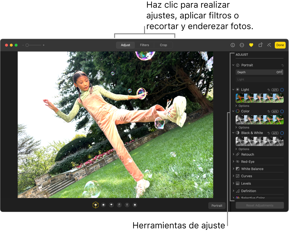 Una foto en la vista de edición con la opción Ajustar seleccionada en la barra de herramientas a la derecha.