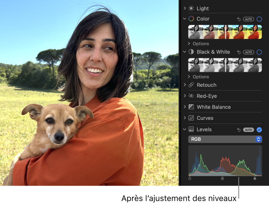Une photo après l’ajustement des niveaux.
