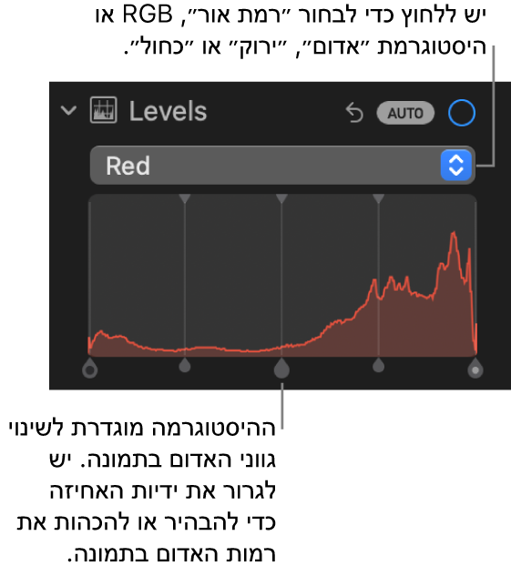 כלי בקרה ״רמות״ בחלונית ״התאם״ המציגה את היסטוגרמת האדום עם ידיות מתחתיה, לתיקון רמות האדום בתמונה.