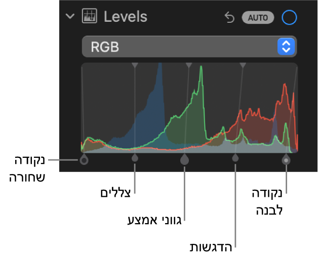 כלי בקרה ״רמות״ בחלונית ״התאם״ המציגה את היסטוגרמת ה‑RGB עם ידיות מתחתיה, כולל (משמאל לימין) נקודה שחורה, צללים, גווני אמצע, הדגשות ונקודה לבנה.