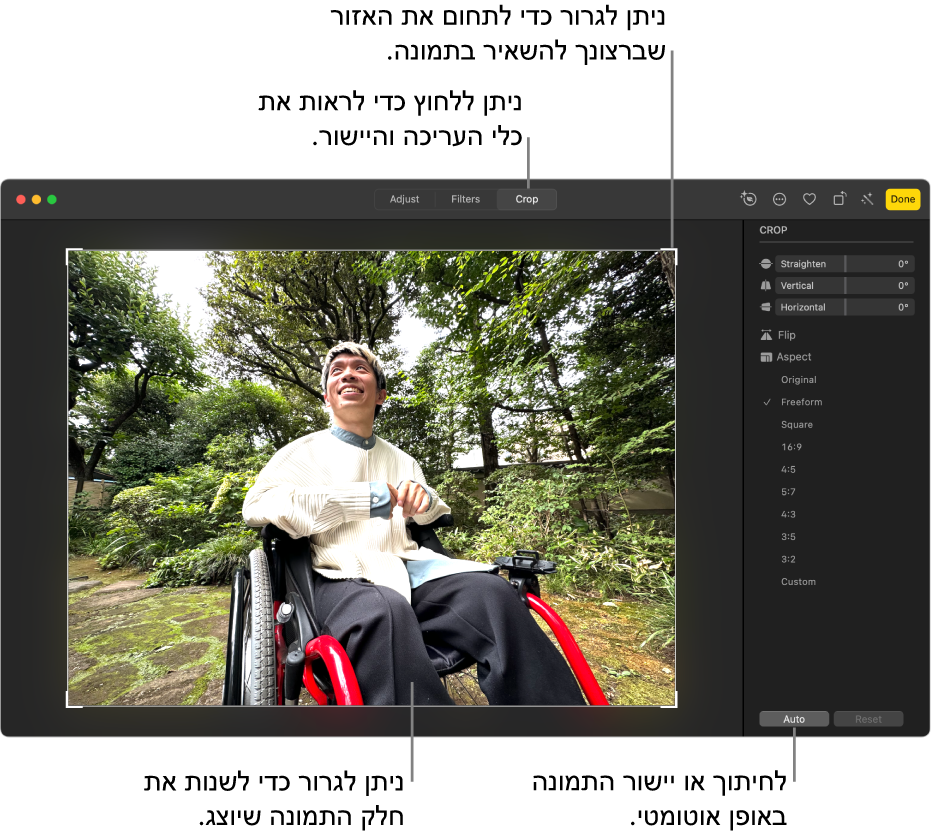 תמונה בתצוגת עריכה כאשר אפשרות החיתוך נבחרת בסרגל הכלים, מלבן בחירה מקיף את התמונה ומחוונים ליישור, אפשרויות עבור יחס גובה-רוחב והכפתורים ״אוטומטי״ ו”איפוס” משמאל.