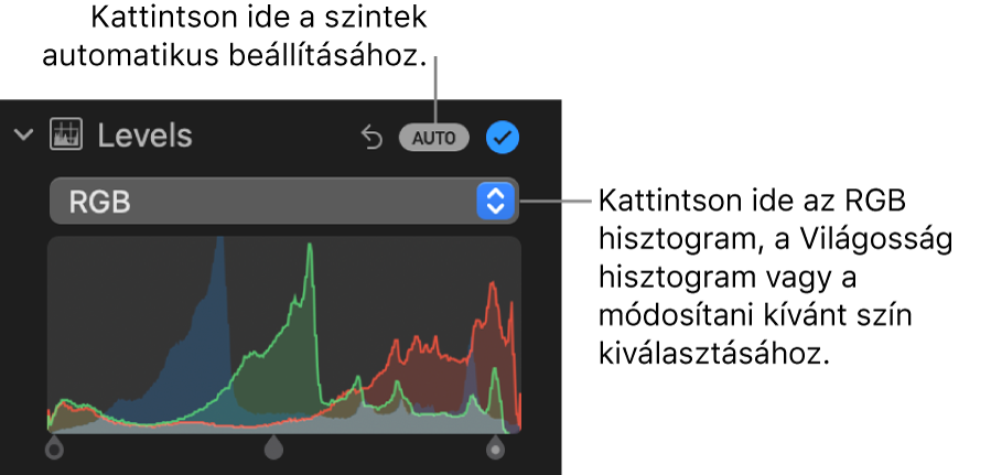 A Beállítás panel szintek vezérlői, az Automatikus gombbal a jobb felső sarokban, és az alatta elhelyezkedő RGB-hisztogrammal.