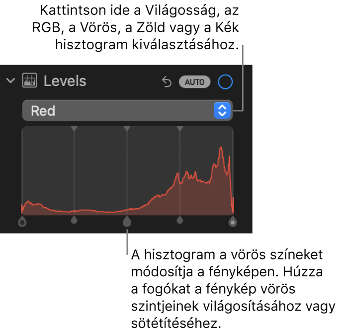 A Beállítás panel szintek vezérlői a Vörös-hisztogrammal és az alatta látható, a fotó vörös szintjeinek beállítására szolgáló fogantyúkkal.