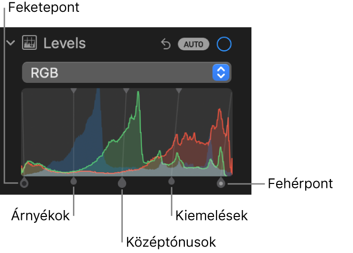 A Beállítás panel szintek vezérlői az RGB-hisztogrammal és az alatta látható fogantyúkkal, többek közt (balról jobbra) a feketepont, az árnyékok, a középtónusok, a csúcsfények és a fehérpont vezérlőivel.