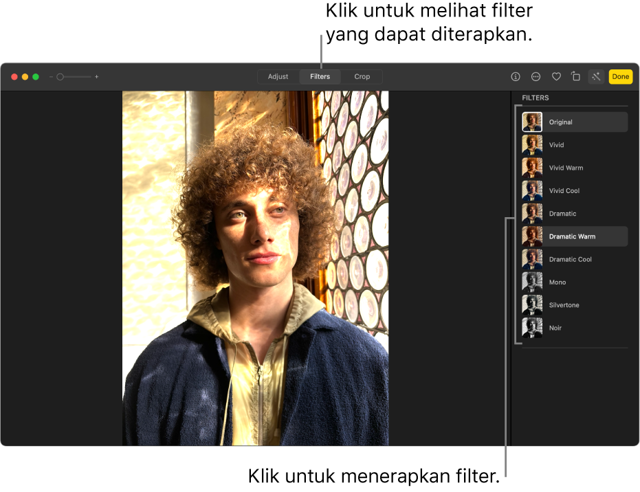 Foto dalam tampilan pengeditan, dengan Filter dipilih di bar alat dan pilihan filter di sebelah kanan.