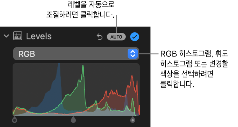 오른쪽 상단에 자동 버튼과 아래에 RGB 히스토그램이 표시된 조절 패널의 레벨 제어기.