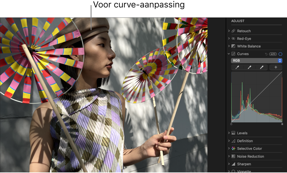 Een foto vóór het gebruik van de aanpassing 'Curven'.