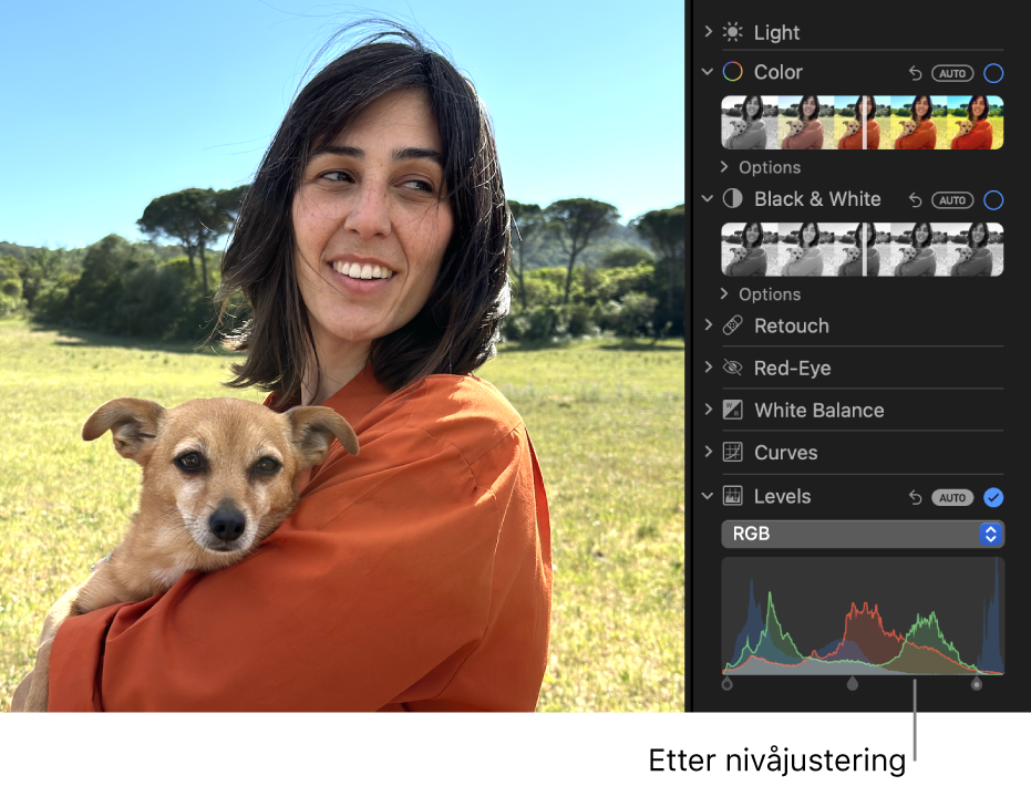 Et bilde etter nivåjusteringer.