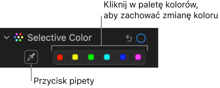 Narzędzia pod etykietą Kolor selektywny w panelu Korekta. Widoczny jest przycisk zakraplacza oraz pola koloru.