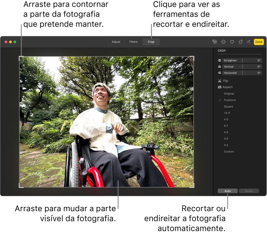 Uma fotografia na vista de edição com a opção Recortar selecionada na barra de ferramentas, um retângulo de seleção em volta da fotografia, niveladores de endireitamento, opções de proporção e os botões Automático e Repor.