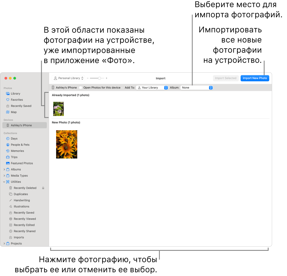 Фотографии на устройстве, которые Вы уже импортировали, отображаются в верхней части окна импорта; новые фотографии отображаются в нижней части окна. В верхней части по центру отображается всплывающее меню «Альбом». Кнопки импорта находятся справа вверху.