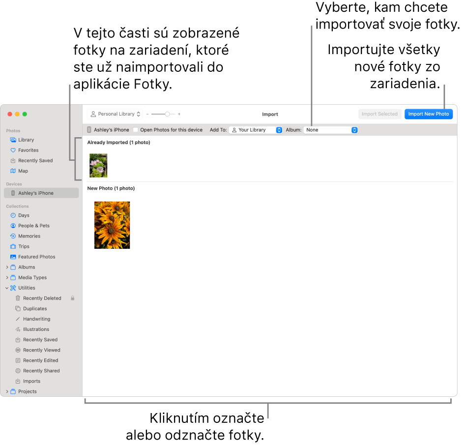 Fotky v zariadení, ktoré ste už importovali, sa zobrazia v hornej časti okno Importované a nové fotky sú v spodnej časti. V hornej časti v strede je vyskakovacie menu Album. Vpravo hore sú tlačidlá importu.