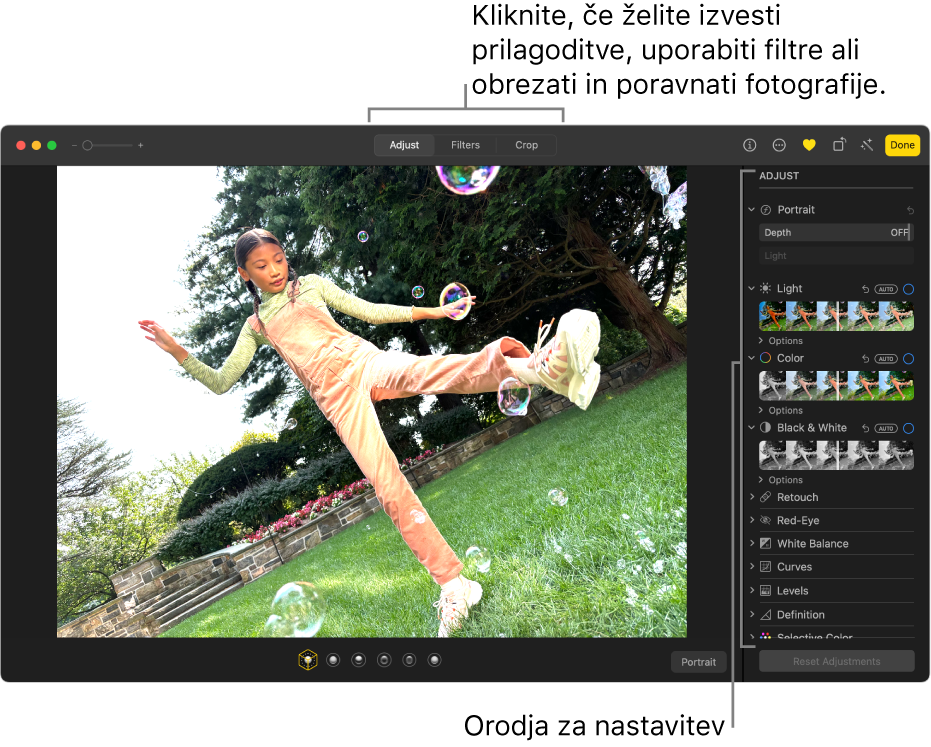 Fotografija v pogledu za urejanje z izbrano možnostjo Prilagodi v orodni vrstici in orodji za prilagoditve na desni.