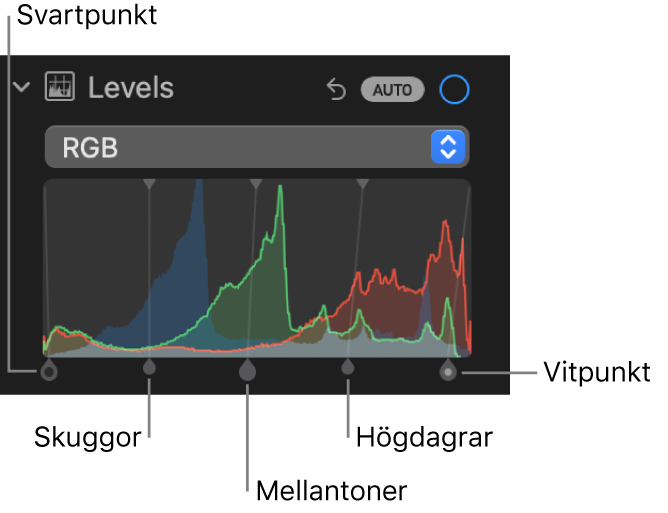 Nivåreglagen på panelen Justera med RGB-histogrammet och handtag nedanför med (från vänster till höger) svartpunkt, skuggor, mellantoner, högdagrar och vitpunkt.