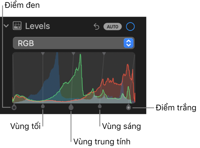 Các điều khiển Mức trong khung Điều chỉnh, đang hiển thị biểu đồ RGB với các bộ điều khiển bên dưới, bao gồm (từ trái sang phải) điểm đen, vùng tối, vùng trung tính, vùng sáng và điểm trắng.