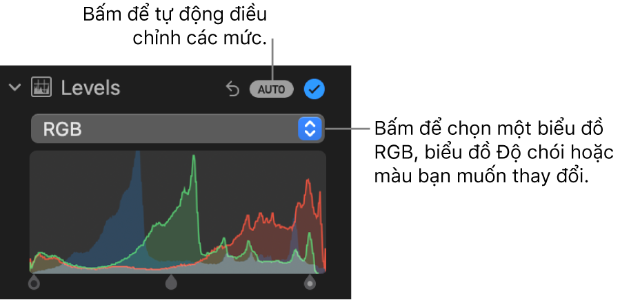 Các điều khiển Mức trong khung Điều chỉnh, với nút Tự động ở trên cùng bên phải và biểu đồ RGB bên dưới.