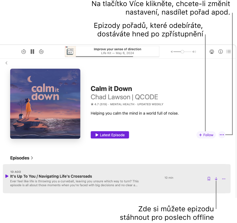 Stránka s informacemi o podcastu s tlačítky Sledovat, Více a Stáhnout