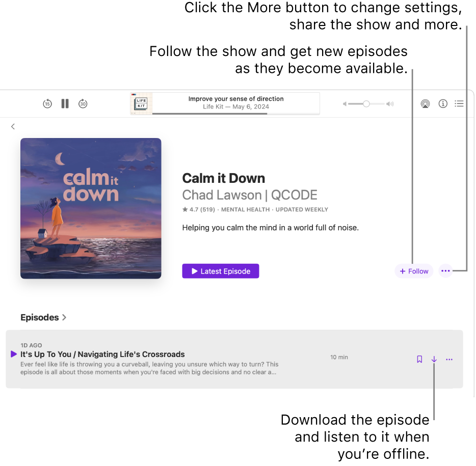 An information page for a podcast, showing the Follow, More and Download buttons.