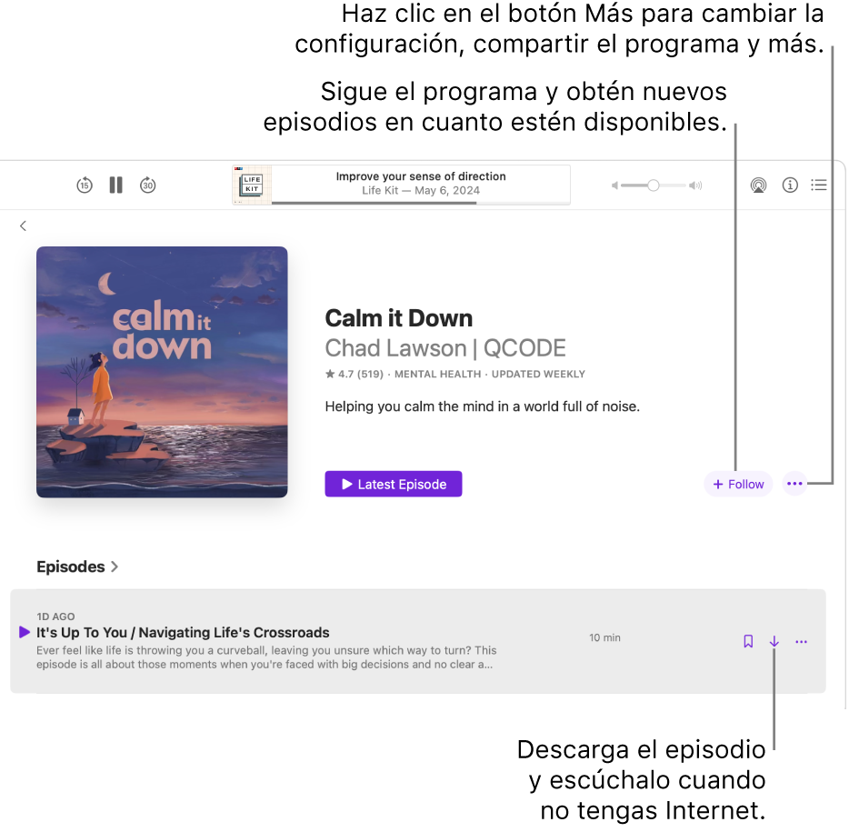 La página de información de un podcast muestra los botones Seguir, Más y Descargar.