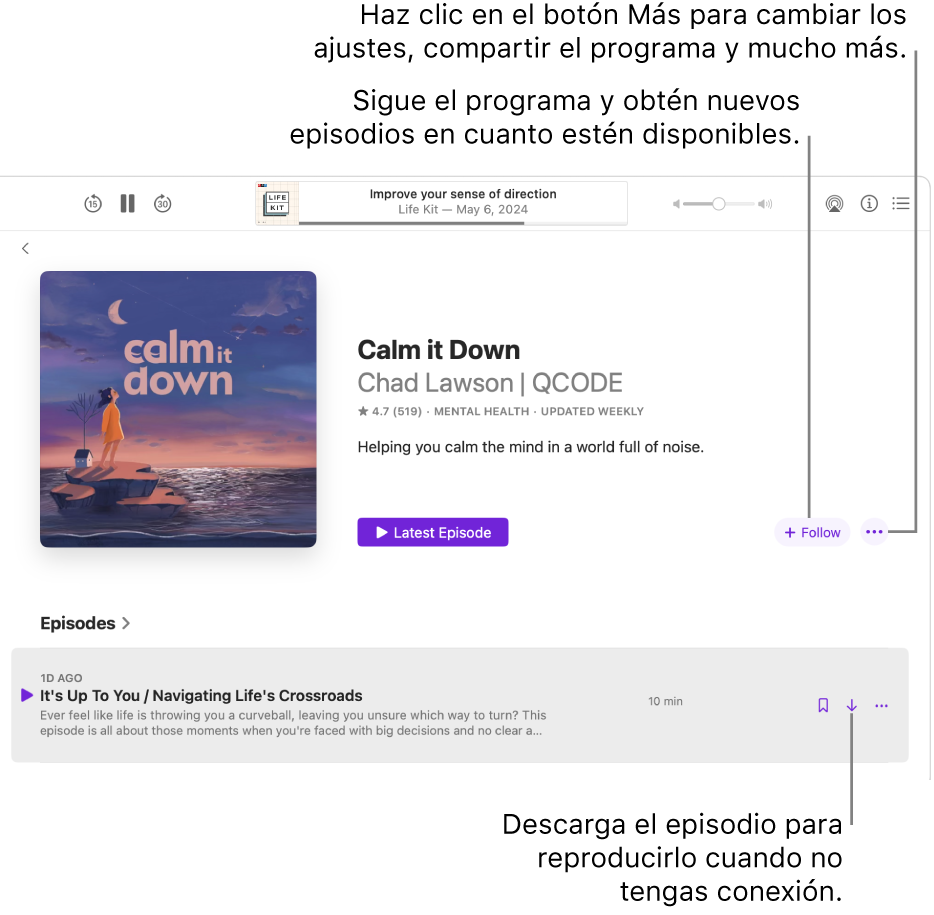 Una página de información de un podcast, con los botones Seguir, Más y Descargar.