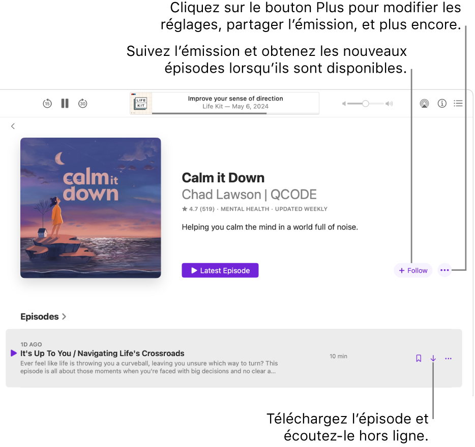 Une page d’information pour un balado, affichant les boutons Suivre, Plus et Télécharger.