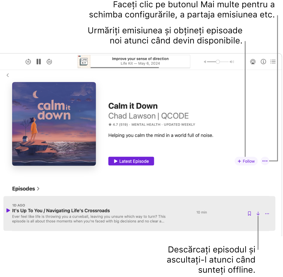 O pagină de informații pentru un podcast, afișând butoanele Urmărește, Mai multe și Descărcări.