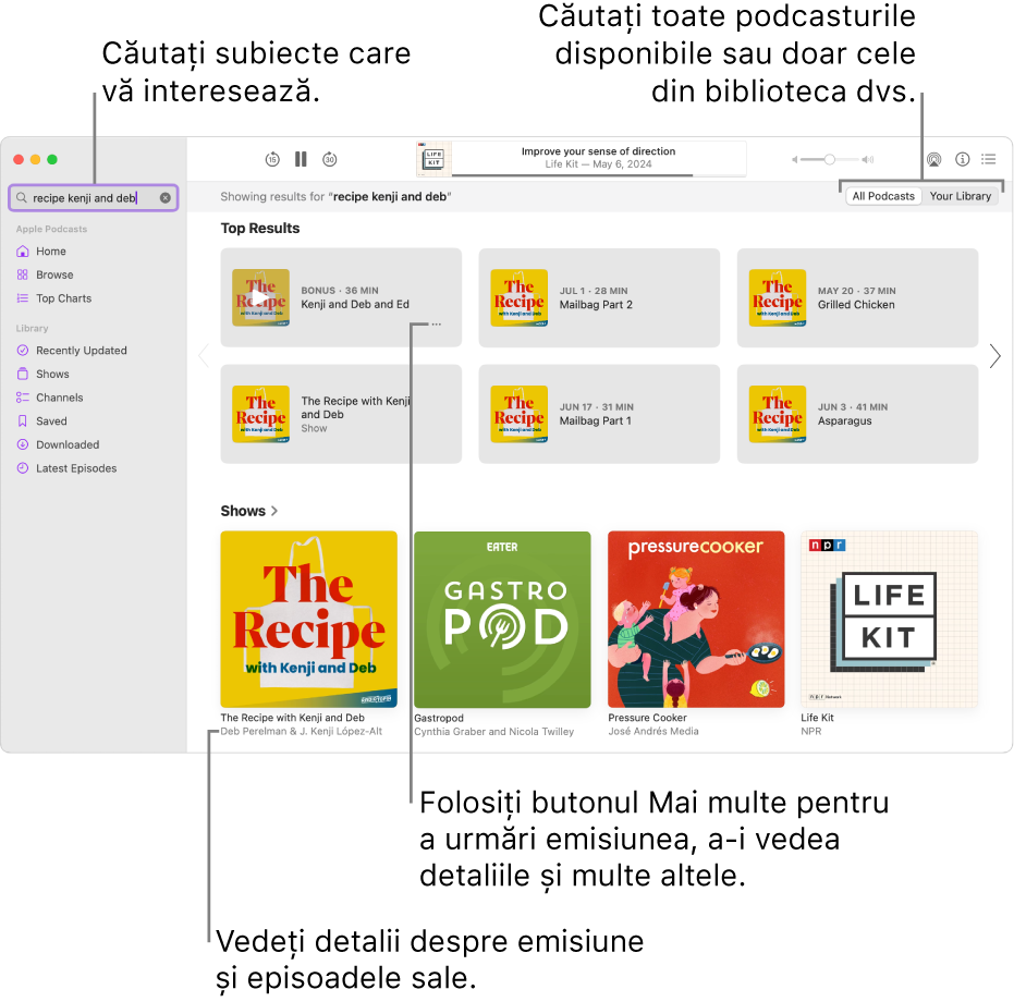 Fereastra Podcasturi afișând textul introdus în câmpul pentru căutare din colțul din stânga sus și episoadele și emisiunile care se potrivesc cu căutarea în toate podcasturile din ecranul din dreapta. Faceți clic pe linkul de sub emisiune pentru a afișa detalii despre emisiune și episoadele acesteia. Utilizați butonul “Mai multe” aferent emisiunii pentru a urmări emisiunea, a schimba configurările acesteia și altele.