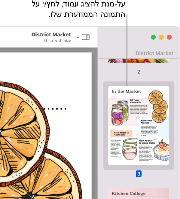 ‏PDF עם תמונות ממוזערות מוצג בסרגל הצד.