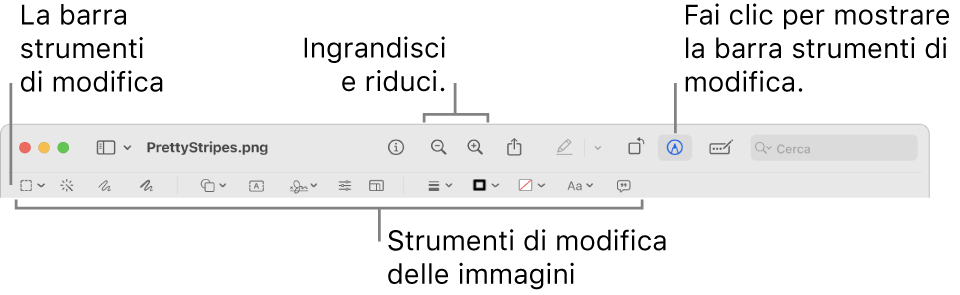 La barra strumenti Modifica per modificare le immagini.