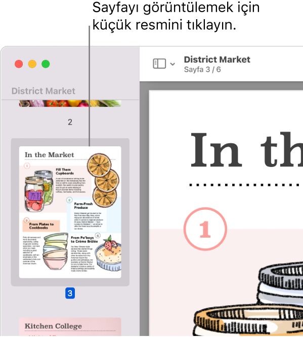 Küçük resimleri kenar çubuğunda görüntülenen bir PDF.