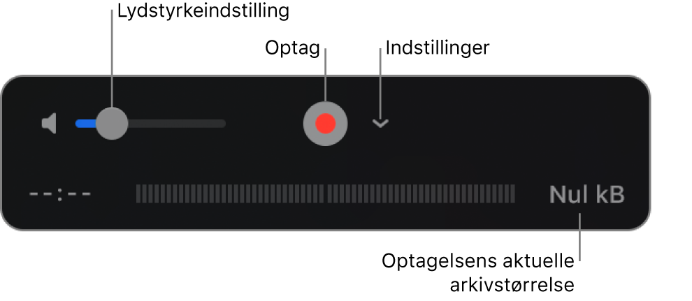 Betjeningsmulighederne til optagelse, inkl. justering af lydstyrke, knappen Optag og lokalmenuen Indstillinger.