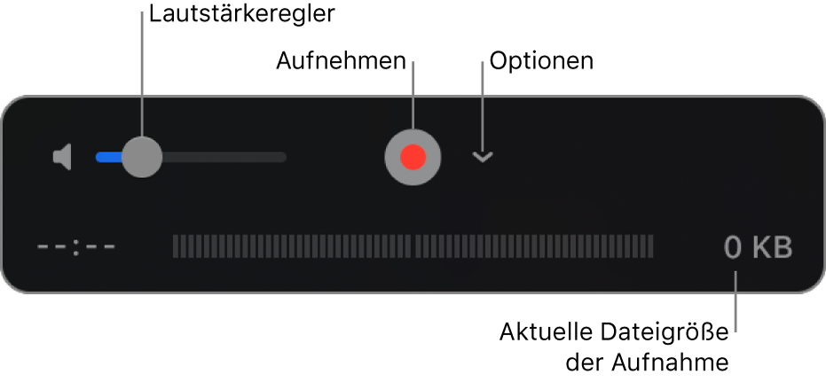 Aufnahmesteuerungen einschließlich Lautstärkeregler, Aufnahmetaste und Einblendmenü „Optionen“